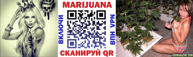 Купить Петрозаводск КОКАИН  Меф мяу мяу  MEGA зеркало  Канабис  ГАШ 