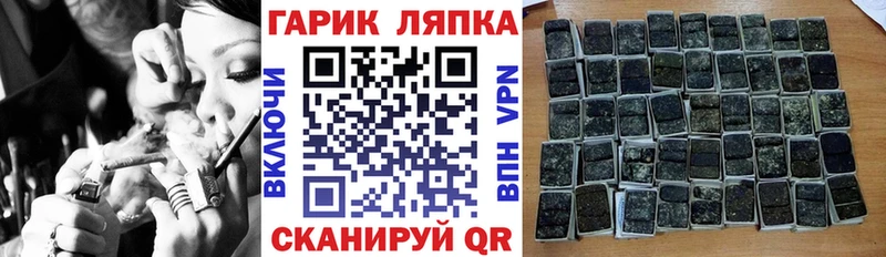 ГАШ hashish  МЕГА tor  Петрозаводск 