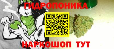 PSILOCYBIN Ирбит