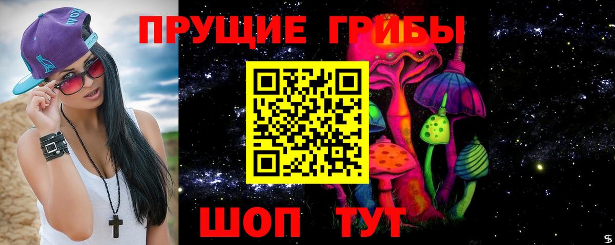 Петрозаводск  Псилоцибиновые грибы прущие грибы  Вход с VPN 